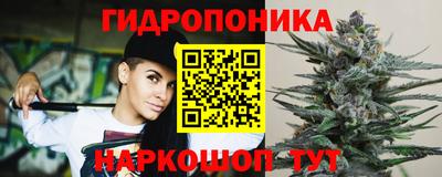 индика Кунгур