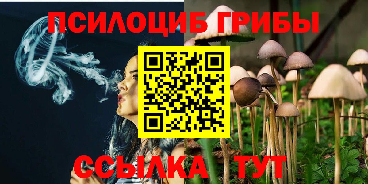 Псилоцибиновые грибы прущие грибы Чита