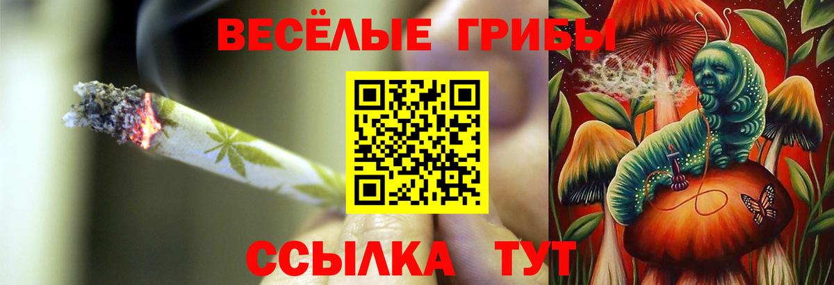 Чита  Псилоцибиновые грибы Psilocybine cubensis  Псилоцибиновые грибы мицелий  Вход с VPN 